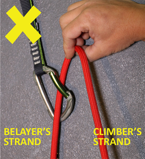 Sport Lead - A Backclip