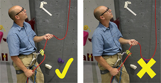 Sport Lead - Later amount of slack