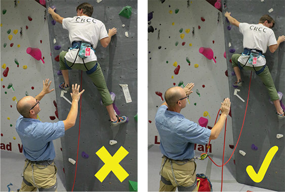 Sport Lead - Spotting