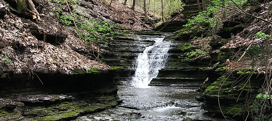 A waterfall at Lick Brook