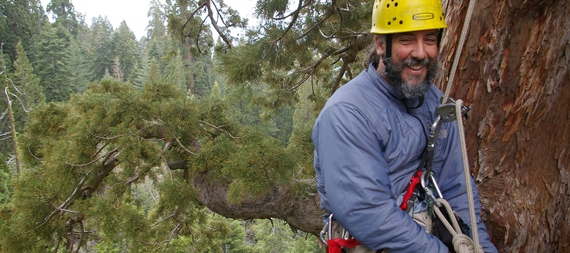 An educator in a tree
