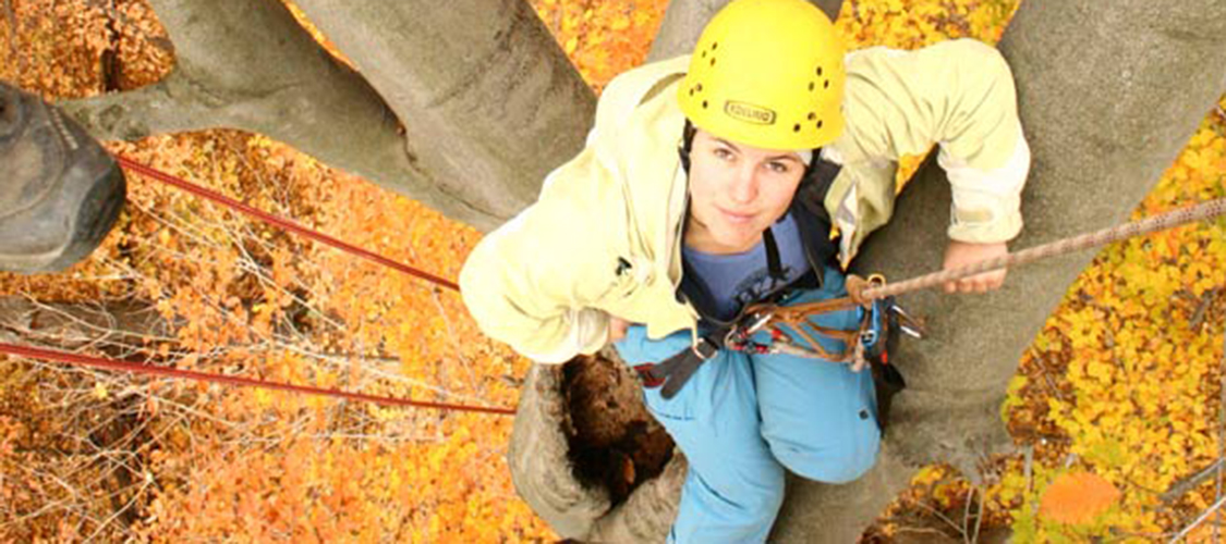A student in a tree