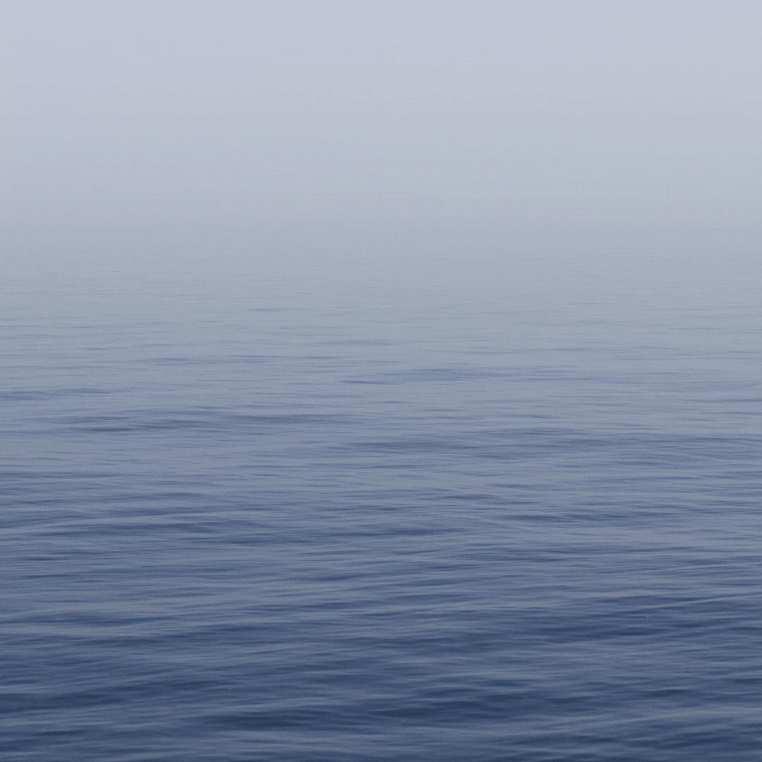 Text overlayed image of ocean: To recently acquired Associate Head Sailing Coach, Lior Lavie, we wish you fair winds and calm seas in all your endeavors. Text  on orange background with red hearts: Gratitude is the Attitude: Terri, Jane and Don -   Thank you for all you are doing to manage the many IT configurations for the Maxient to Guardian transition. I'm so grateful for your guidance, expertise and partnership!