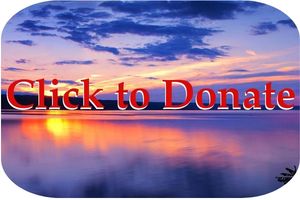 Click to donate