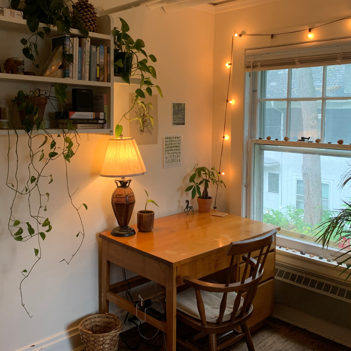 A cozy, warmly lit wooden desk next to a window, decorated with string lights, houseplants, and a full bookshelf.