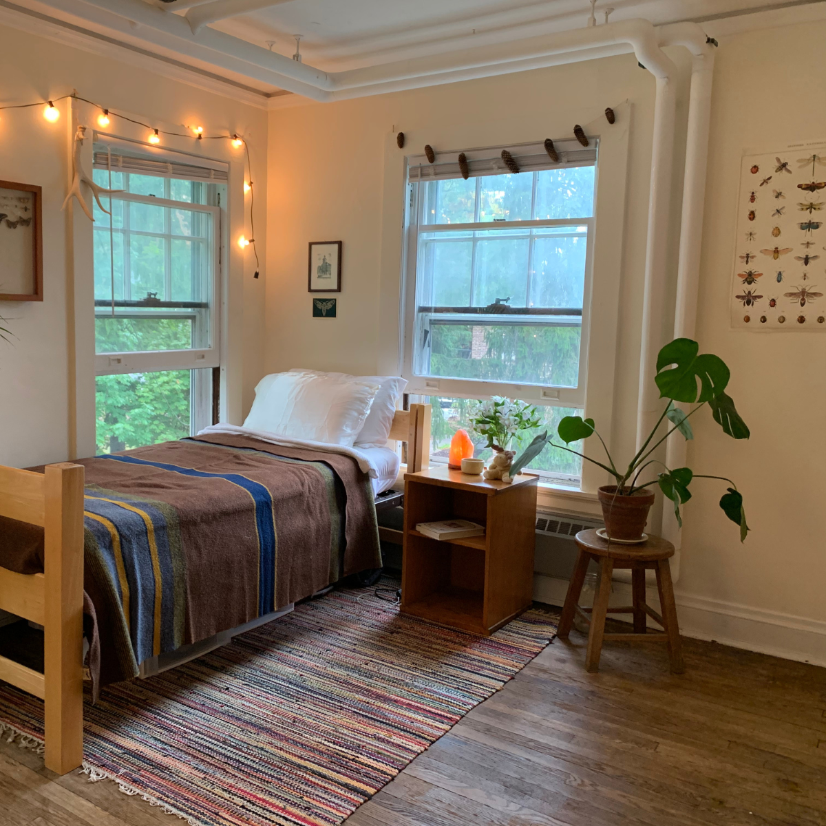 A cozy residence hall room with natural wood furniture, large windows, a brown striped blanket, a colorful rug, and string lights