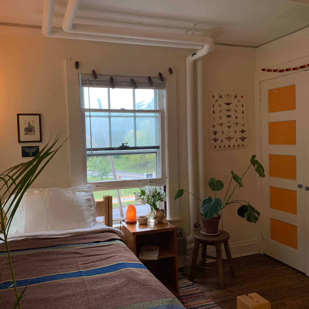 A cozy residence hall room with exposed pipes, natural wood furniture, a bed with a brown striped blanket, and several houseplants near the window