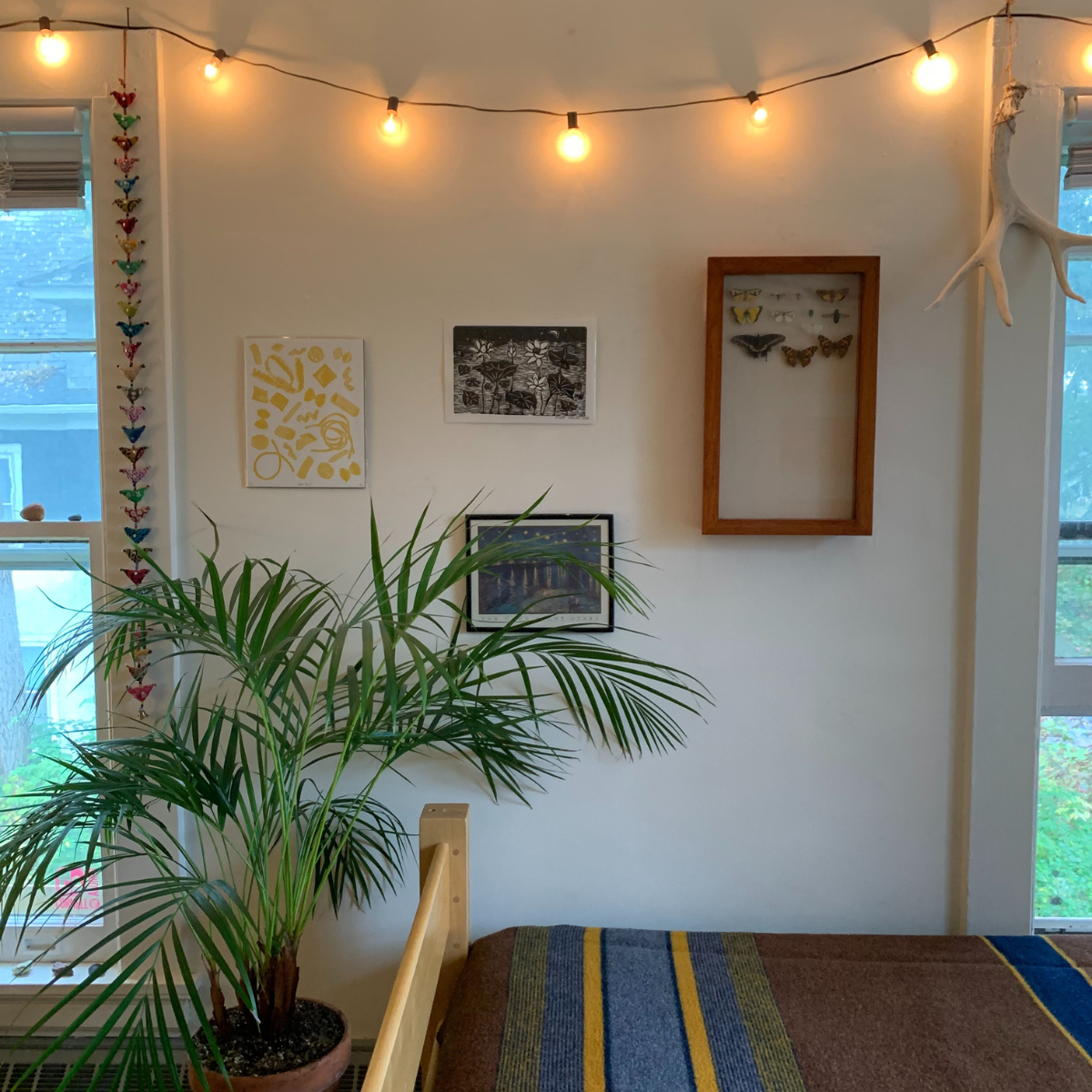 A residence hall room bed with a brown and striped blanket, illuminated by string lights, next to a large potted palm plant and wall art