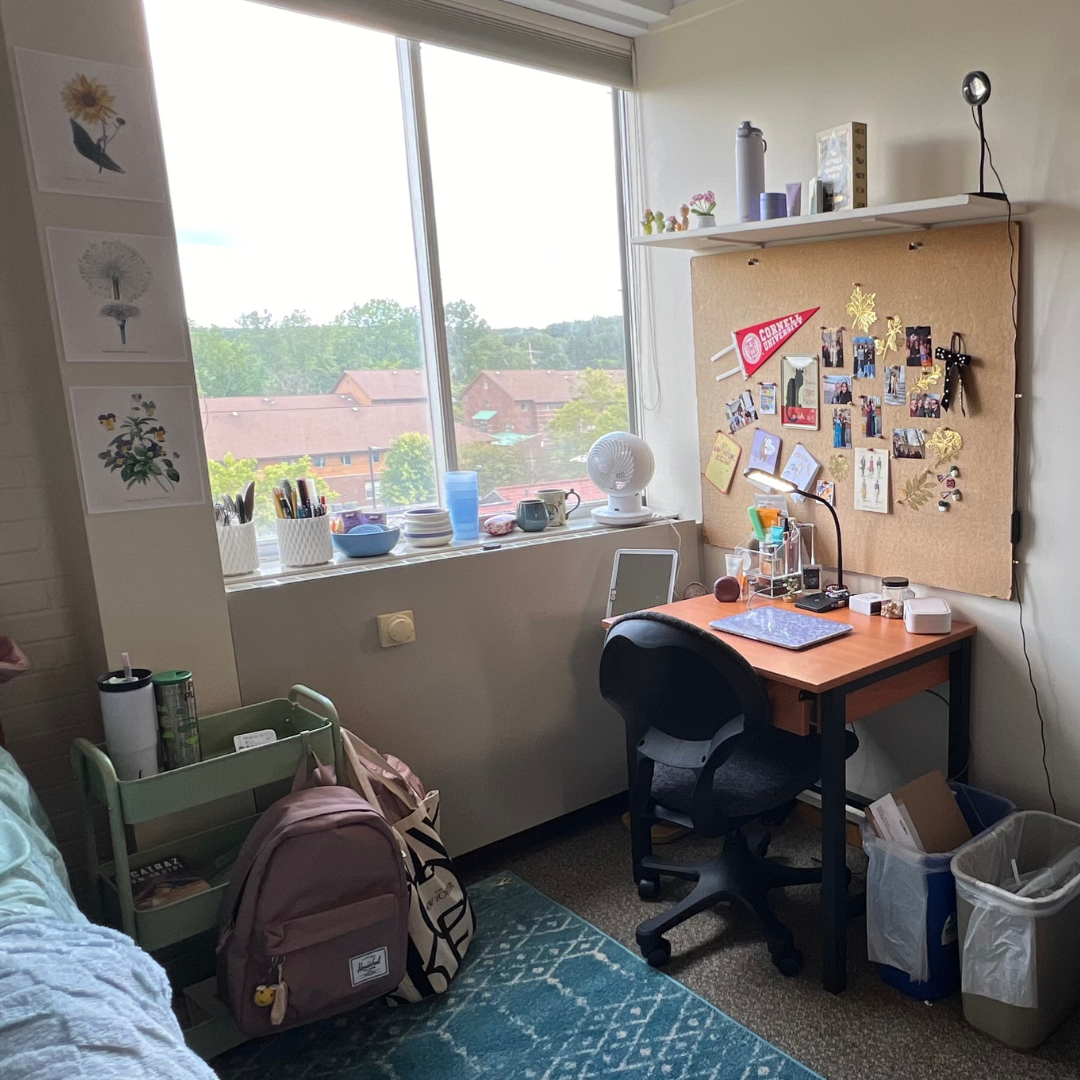 Student room picture desk with chair, on blue rug