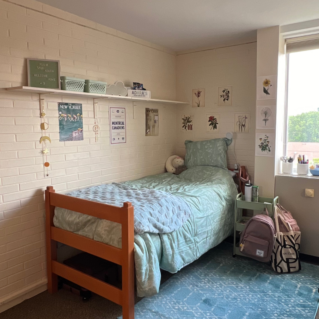 Student room picture bed with blue linens, and a blue rug