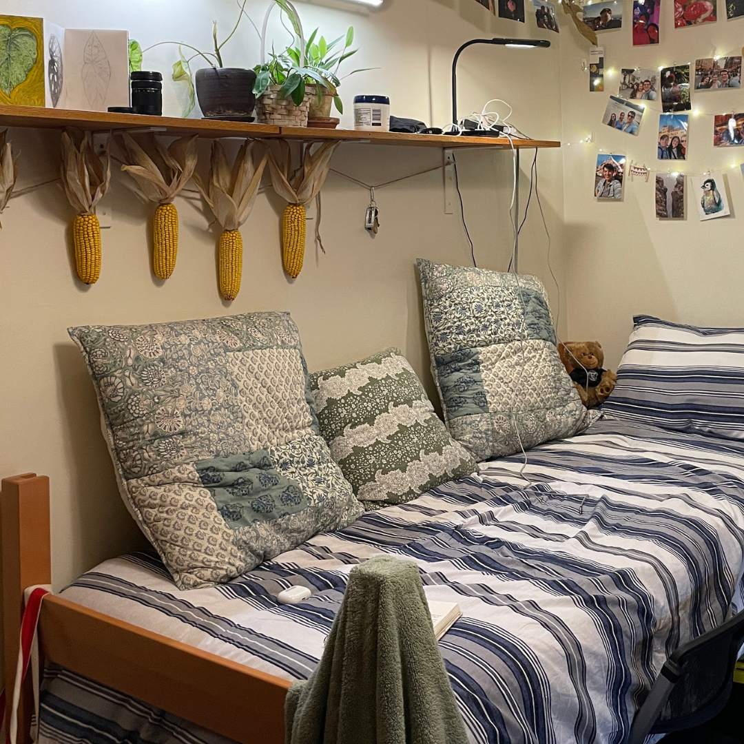 Student room picture, bed with stripped linens, wall shelf with plants