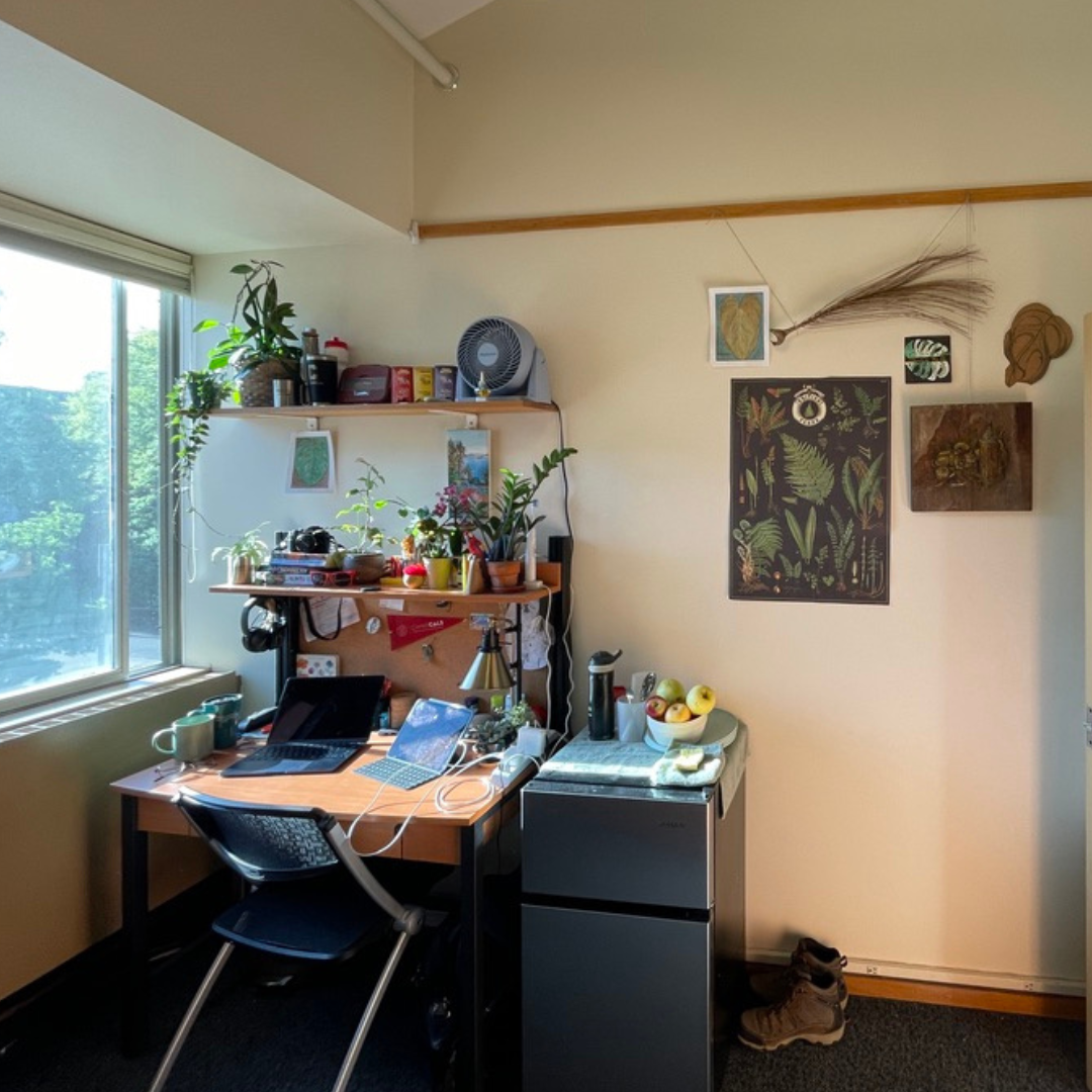 Student room picture, desk with chair, mini fridge shelves on wall with plants
