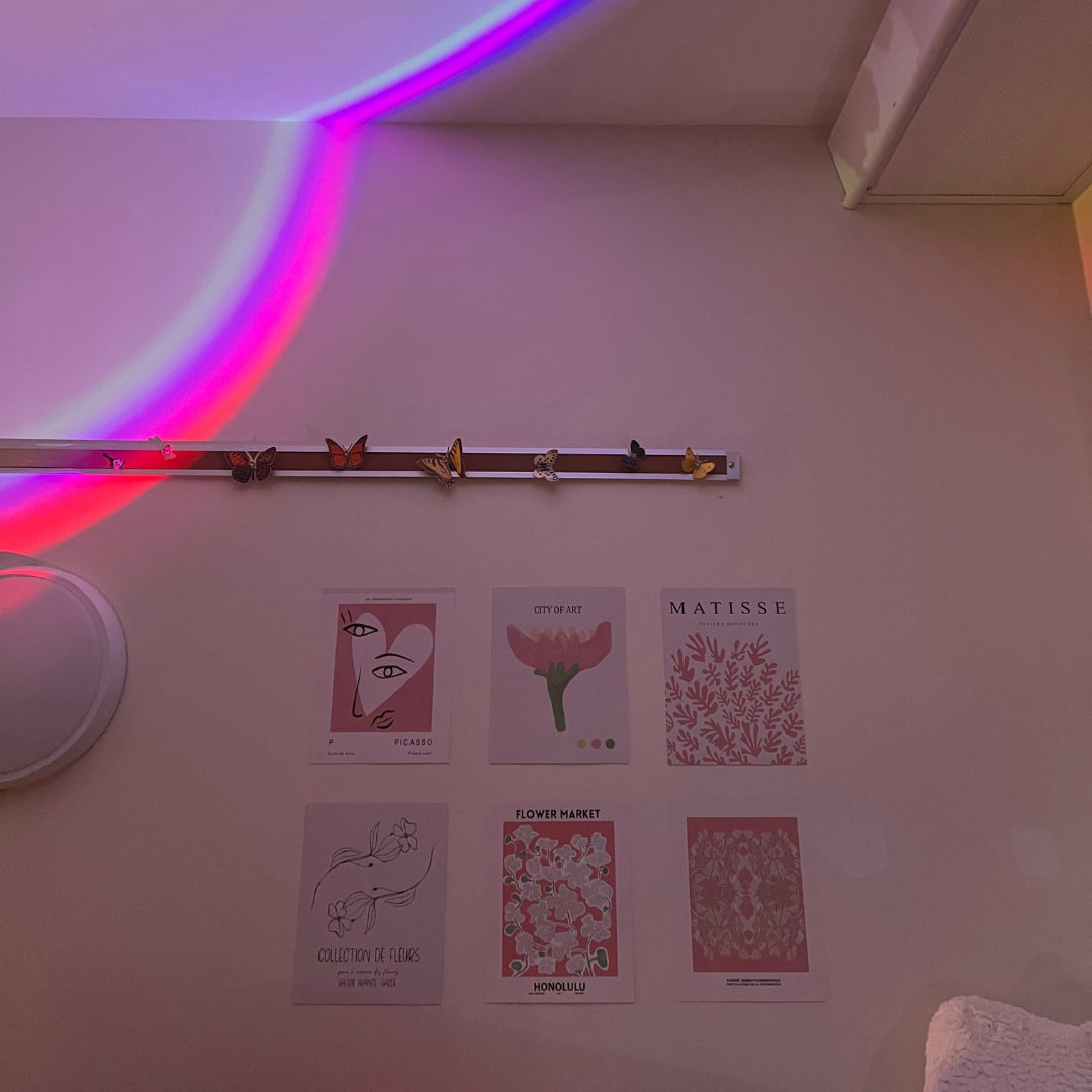 Student room picture, wall art and butterflies