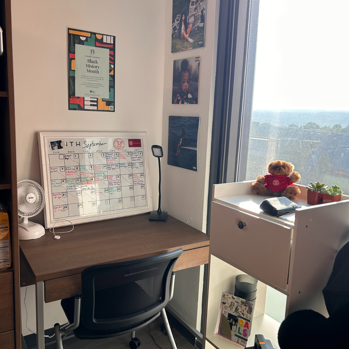A residence hall room desk area with a calendar, lamp, and fan, next to a window with a small white shelf holding a teddy bear and plants