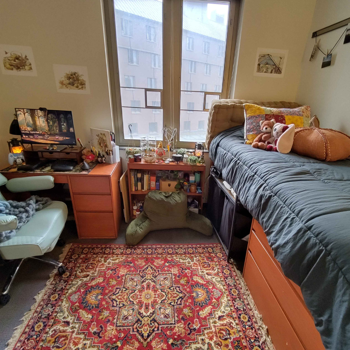 Residential room bed with blue comforter, desk, green chair, bookshelf in front of window and decorative rug