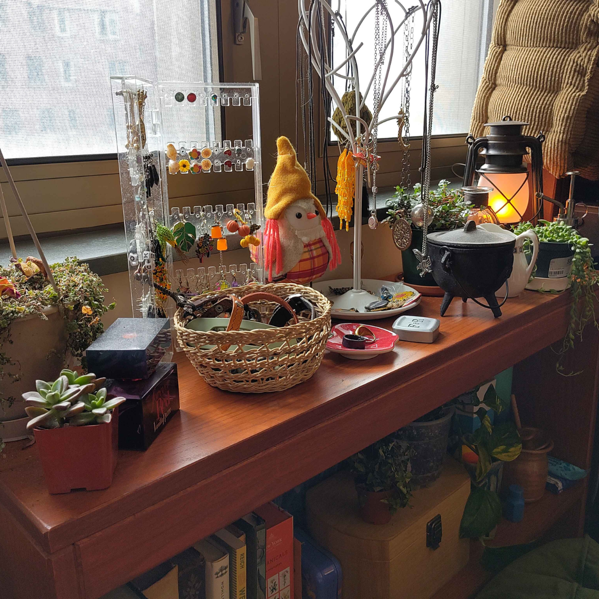 Bookshelf in front of window with books, earring hanger and plantsd