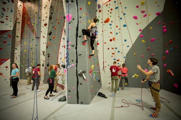 people on rock climbing wall