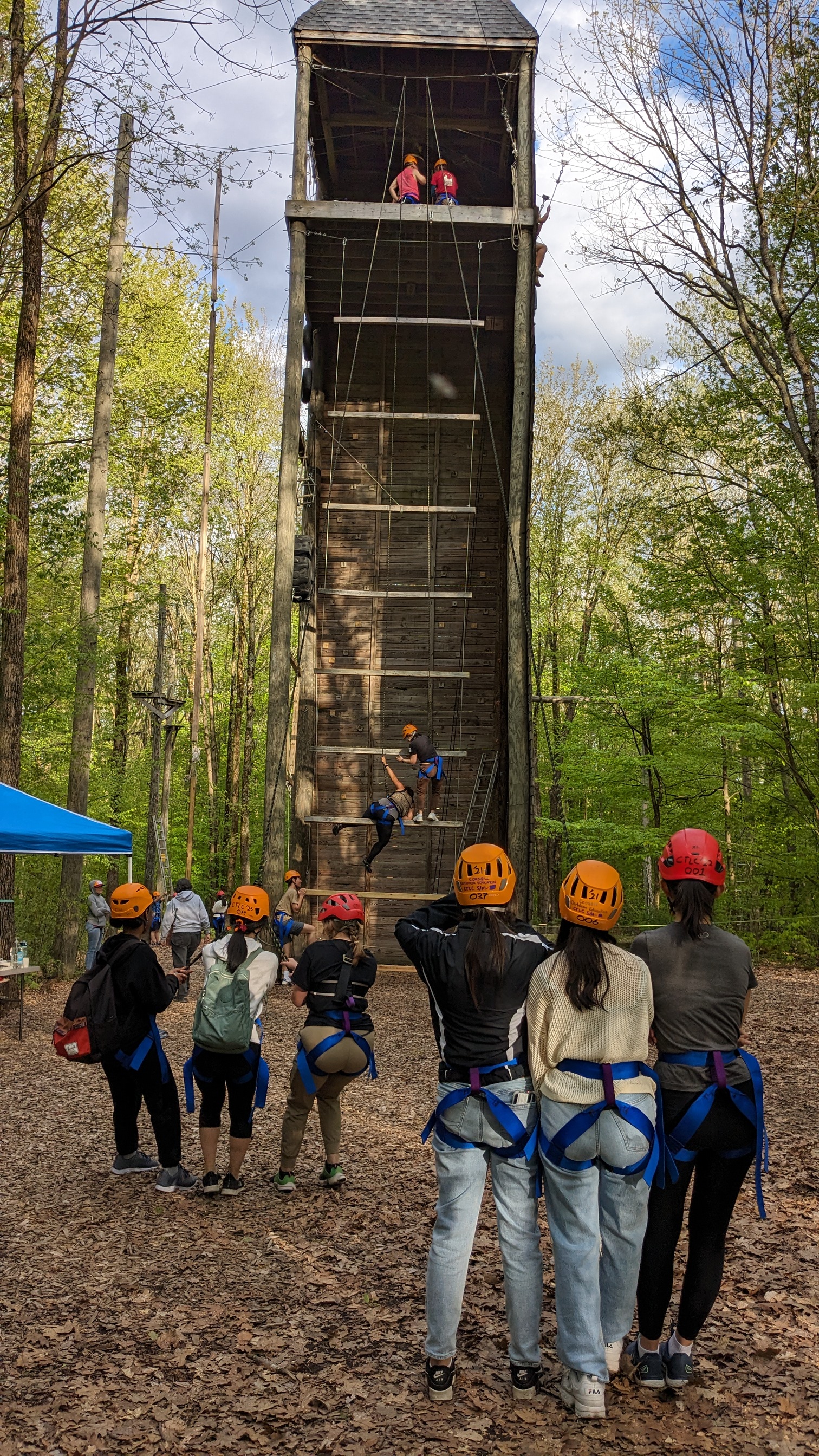 two groups of people in blue harnesses and orange helmets attached to a rope that is supporting two climbers on a giant 60 foot ladder in the woods