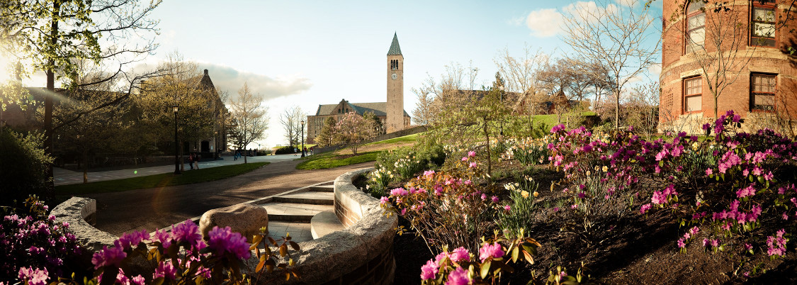 campus in the spring