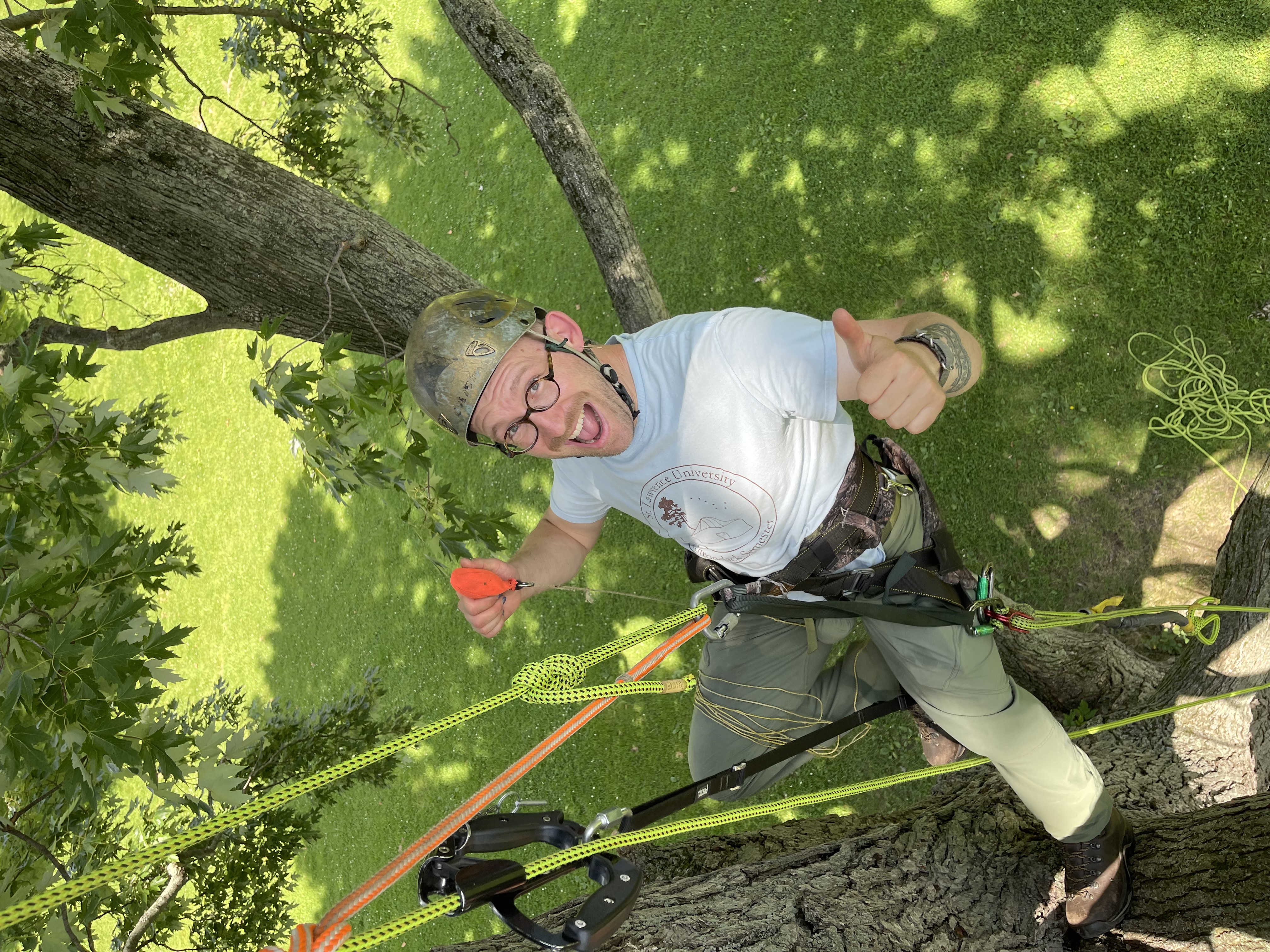 guy with tree climbing gear on climbing a tree