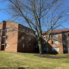 HILC building from the side with a tree in the ealry spring