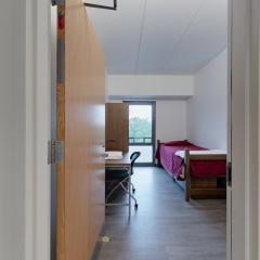 Single room with a bed, desk and chair, drawers, an armoire and a window.