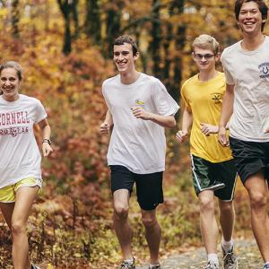 A group of trail runners