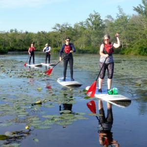 Stand-Up Paddleboarders on the river