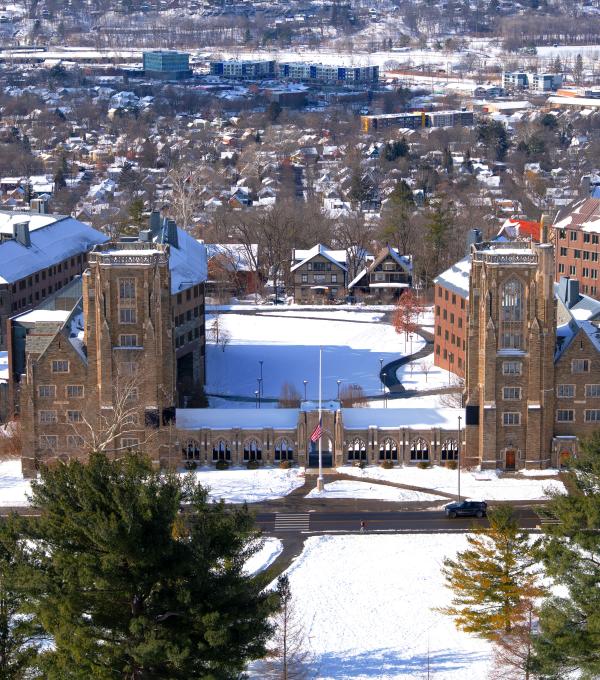 Photo of West Campus taken from the top of McGraw Tower