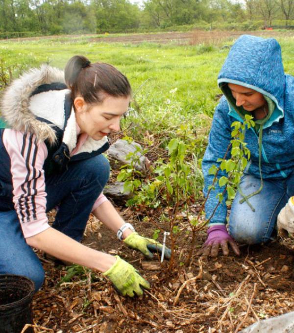 Students plant trees at Groundswell Incubator Farm